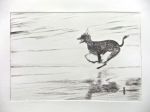 Black dog running 6.2, artist's proof.