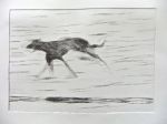 Black dog running 4.1, artist's proof.