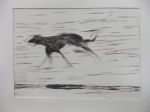 Black dog running 4.2, artist's proof.